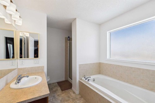 216 Covepark Green Ne, Calgary, AB - Indoor Photo Showing Bathroom