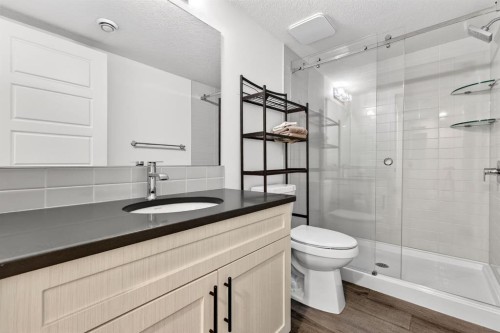 208 Dawson Circle, Chestermere, AB - Indoor Photo Showing Bathroom