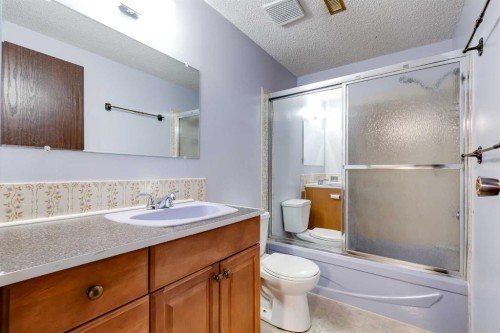 248 Huntcroft Road Ne, Calgary, AB - Indoor Photo Showing Bathroom
