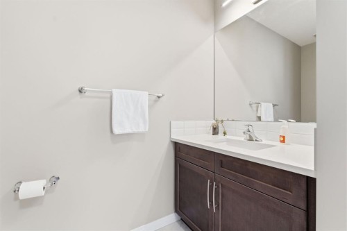 22 Carrington Crescent Nw, Calgary, AB - Indoor Photo Showing Bathroom