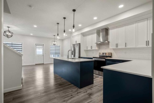 223 Savanna Way Ne, Calgary, AB - Indoor Photo Showing Kitchen With Upgraded Kitchen