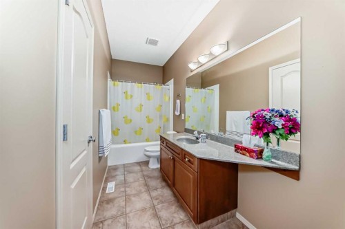 92 Hamptons Drive Nw, Calgary, AB - Indoor Photo Showing Bathroom