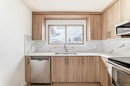 4327 38 Street Ne, Calgary, AB  - Indoor Photo Showing Kitchen With Double Sink 