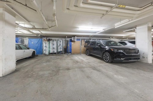 2207-155 Skyview Ranch Way Ne, Calgary, AB - Indoor Photo Showing Garage