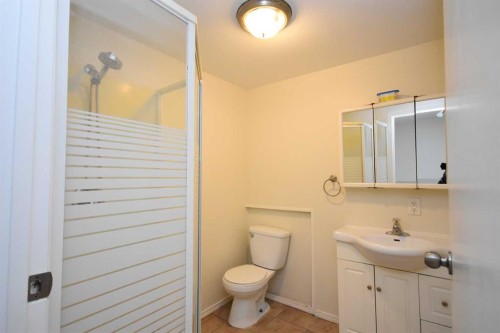 2604 106 Avenue Sw, Calgary, AB - Indoor Photo Showing Bathroom