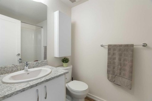 1503-450 8 Avenue Se, Calgary, AB - Indoor Photo Showing Bathroom