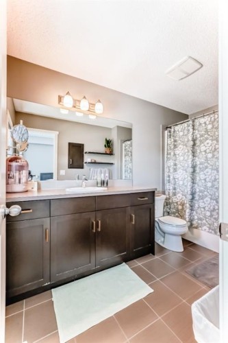660 Walden Drive Se, Calgary, AB - Indoor Photo Showing Bathroom