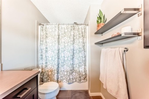 660 Walden Drive Se, Calgary, AB - Indoor Photo Showing Bathroom