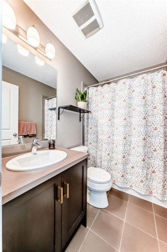 660 Walden Drive Se, Calgary, AB - Indoor Photo Showing Bathroom