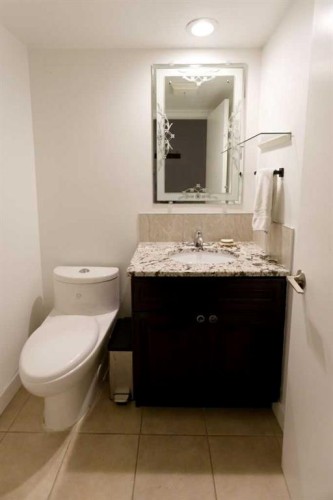 100-808 4 Avenue Nw, Calgary, AB - Indoor Photo Showing Bathroom