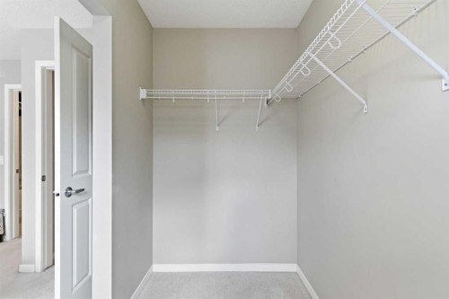 150 Copperpond Villas Se, Calgary, AB - Indoor With Storage