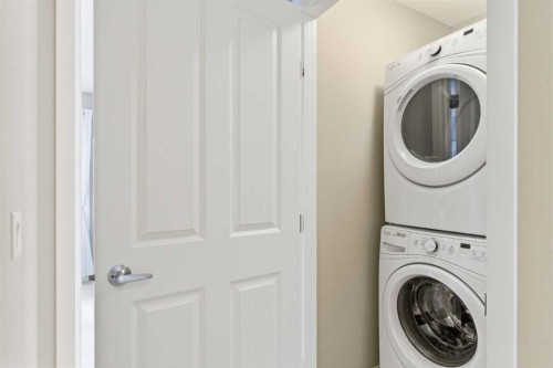 150 Copperpond Villas Se, Calgary, AB - Indoor Photo Showing Laundry Room