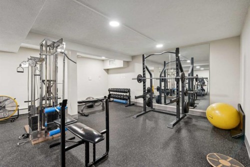 707-320 Meredith Road Ne, Calgary, AB - Indoor Photo Showing Gym Room