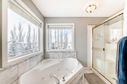 368 Cranfield Gardens Se, Calgary, AB - Indoor Photo Showing Bathroom