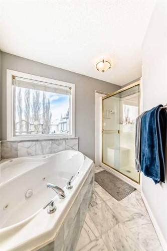 368 Cranfield Gardens Se, Calgary, AB - Indoor Photo Showing Bathroom