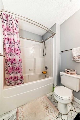 368 Cranfield Gardens Se, Calgary, AB - Indoor Photo Showing Bathroom