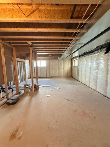 1995 Mccaskill Drive, Crossfield, AB - Indoor Photo Showing Basement