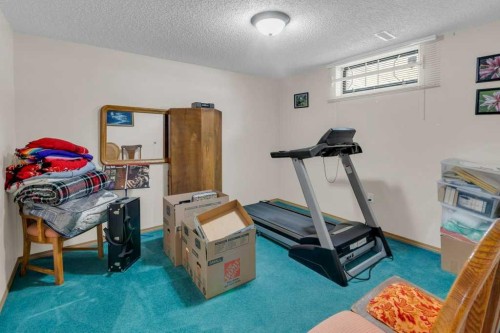 7304 35 Avenue Nw, Calgary, AB - Indoor Photo Showing Gym Room
