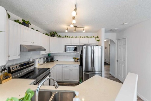 50 Taravista Gardens Ne, Calgary, AB - Indoor Photo Showing Kitchen With Double Sink