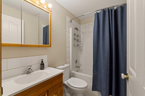 65 Canoe Circle Sw, Airdrie, AB - Indoor Photo Showing Bathroom