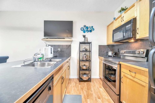 49 Everridge Gardens Sw, Calgary, AB - Indoor Photo Showing Kitchen With Double Sink