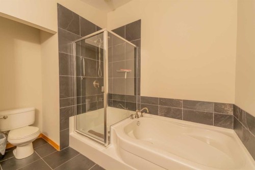 302-801 Benchlands Trail, Canmore, AB - Indoor Photo Showing Bathroom