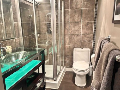 123 Franklin Drive Se, Calgary, AB - Indoor Photo Showing Bathroom