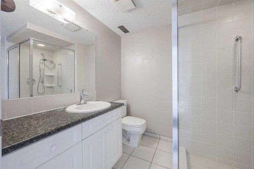 128 Silver Ridge, Calgary, AB - Indoor Photo Showing Bathroom