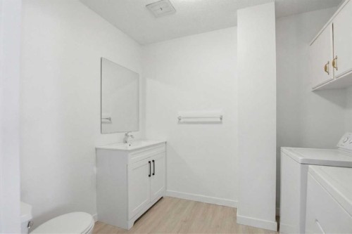 6335 24 Avenue Ne, Calgary, AB - Indoor Photo Showing Laundry Room