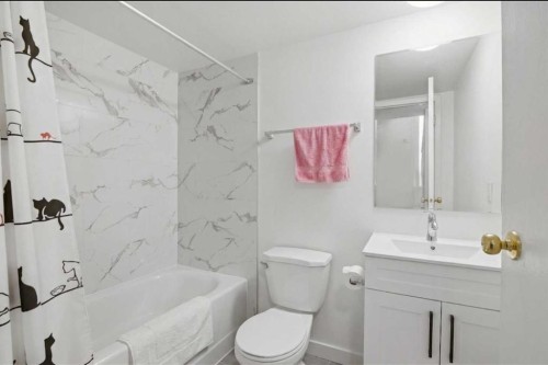 6335 24 Avenue Ne, Calgary, AB - Indoor Photo Showing Bathroom
