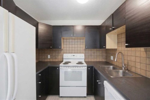 6335 24 Avenue Ne, Calgary, AB - Indoor Photo Showing Kitchen With Double Sink