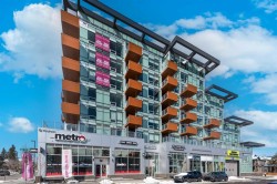 638-110 18 A Street NW Calgary, AB T2N 5G5