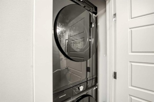 408-474 Seton Circle Se, Calgary, AB - Indoor Photo Showing Laundry Room