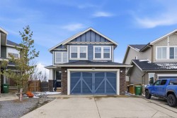 234 Williamstown Green NWAirdrie, AB T4B 0S9