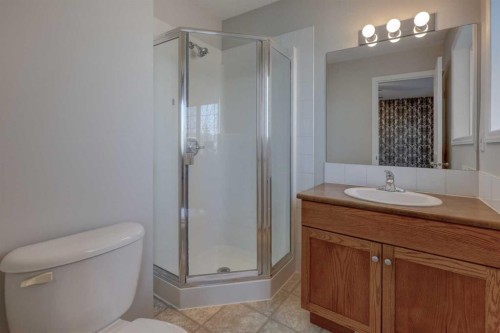 302-2006 Luxstone Boulevard Sw, Airdrie, AB - Indoor Photo Showing Bathroom