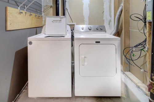 302-2006 Luxstone Boulevard Sw, Airdrie, AB - Indoor Photo Showing Laundry Room