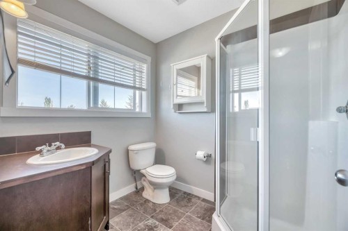 238 Ranch Ridge Meadow, Strathmore, AB - Indoor Photo Showing Bathroom
