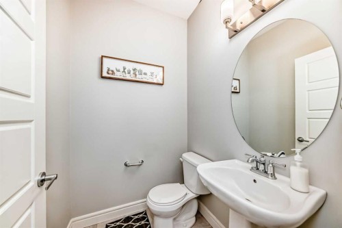 10097 46 Street Ne, Calgary, AB - Indoor Photo Showing Bathroom