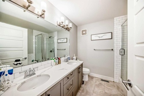 10097 46 Street Ne, Calgary, AB - Indoor Photo Showing Bathroom
