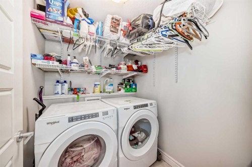 10097 46 Street Ne, Calgary, AB - Indoor Photo Showing Laundry Room