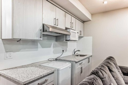 10097 46 Street Ne, Calgary, AB - Indoor Photo Showing Kitchen