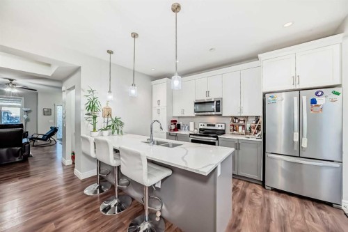 10097 46 Street Ne, Calgary, AB - Indoor Photo Showing Kitchen With Stainless Steel Kitchen With Double Sink With Upgraded Kitchen