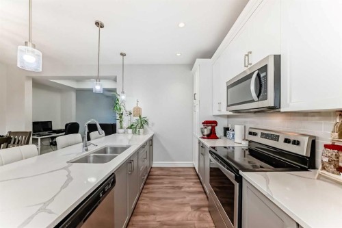 10097 46 Street Ne, Calgary, AB - Indoor Photo Showing Kitchen With Stainless Steel Kitchen With Double Sink With Upgraded Kitchen