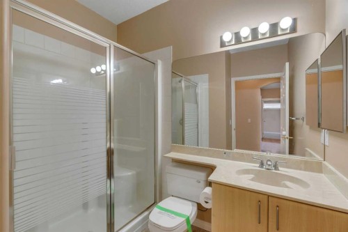 56 Royal Abbey Rise Nw, Calgary, AB - Indoor Photo Showing Bathroom