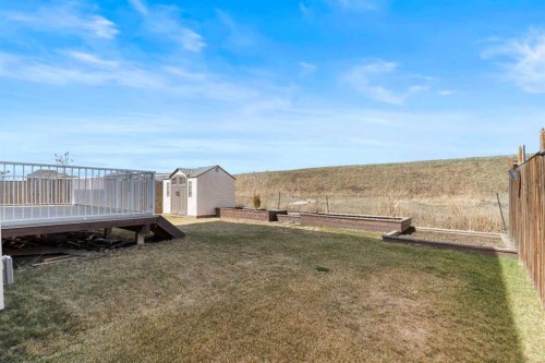 409 Kinniburgh Boulevard, Chestermere, AB - Outdoor