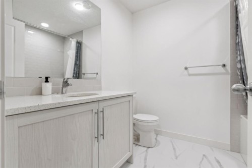 113 Calhoun Common Ne, Calgary, AB - Indoor Photo Showing Bathroom
