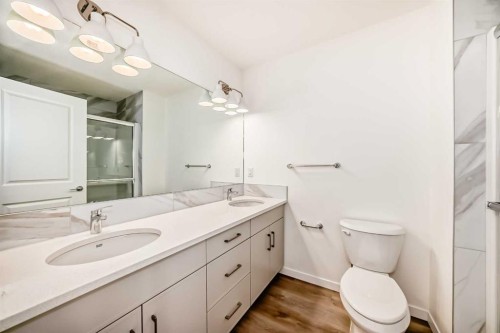 1078 Sawgrass Link Nw, Airdrie, AB - Indoor Photo Showing Bathroom