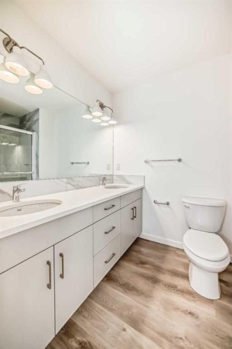 1078 Sawgrass Link Nw, Airdrie, AB - Indoor Photo Showing Bathroom