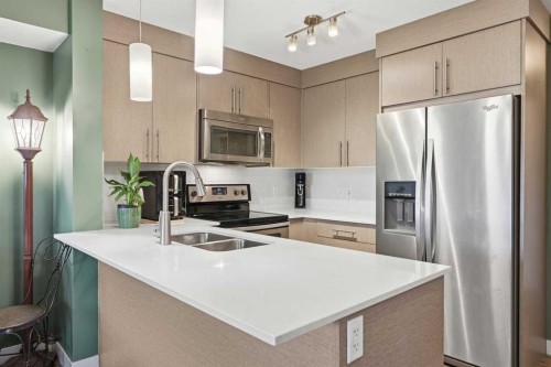 7206-302 Skyview Ranch Drive Ne, Calgary, AB - Indoor Photo Showing Kitchen With Double Sink With Upgraded Kitchen