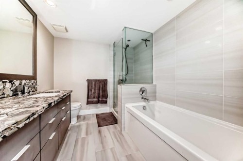 554 Riverfront Lane Se, Calgary, AB - Indoor Photo Showing Bathroom